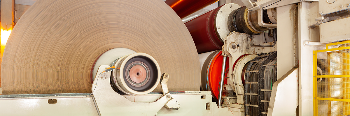 Pulp & Paper Mill